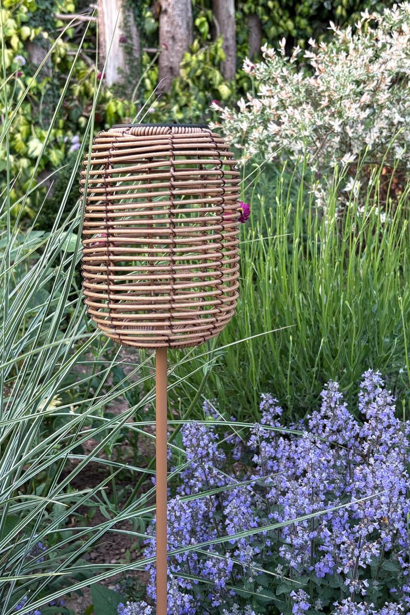 The Hedgerow Lantern
