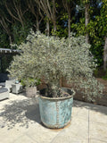 The Riveted Garden Planter