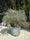 The Riveted Garden Planter