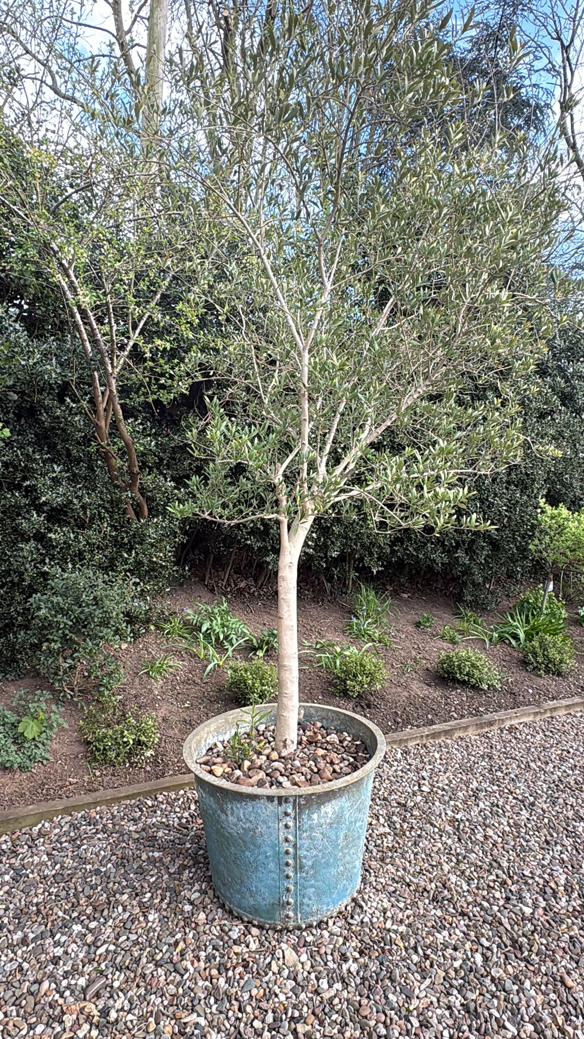 The Riveted Garden Planter
