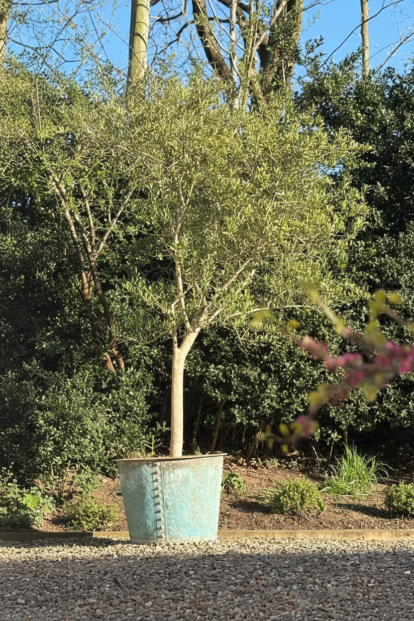 The Riveted Garden Planter