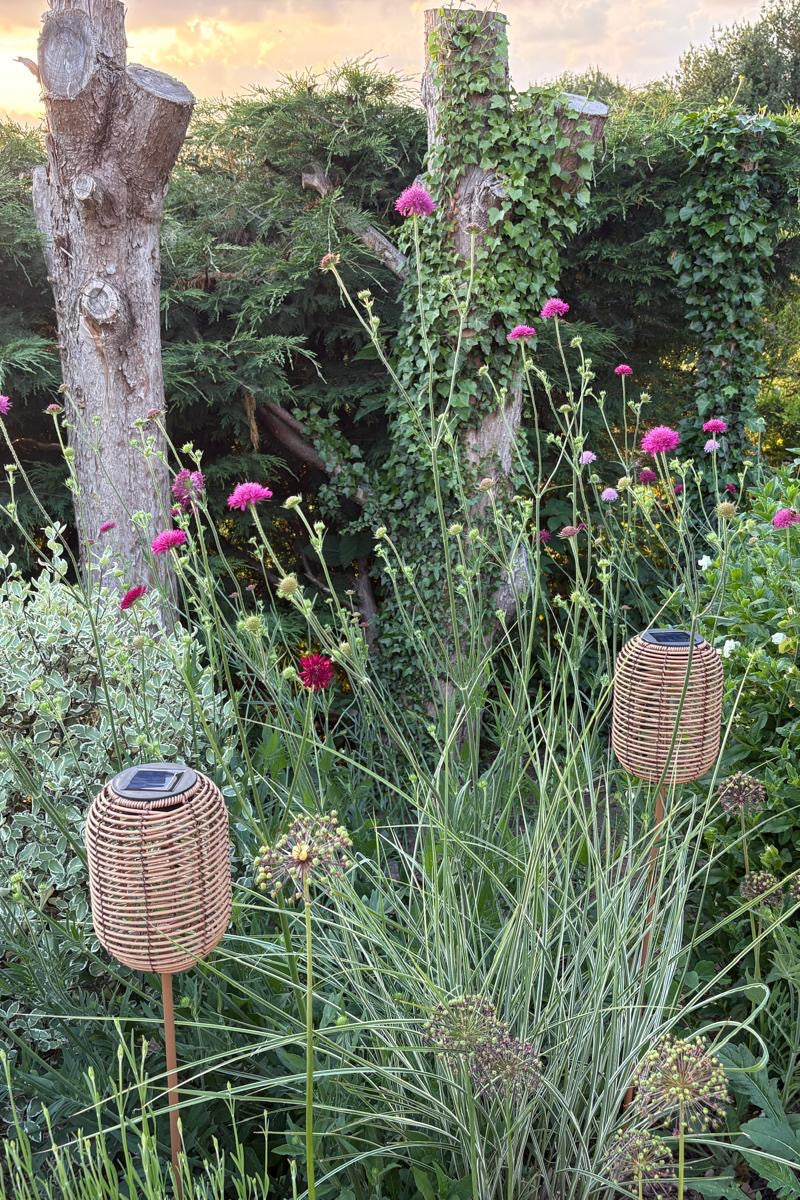 The Hedgerow Lantern