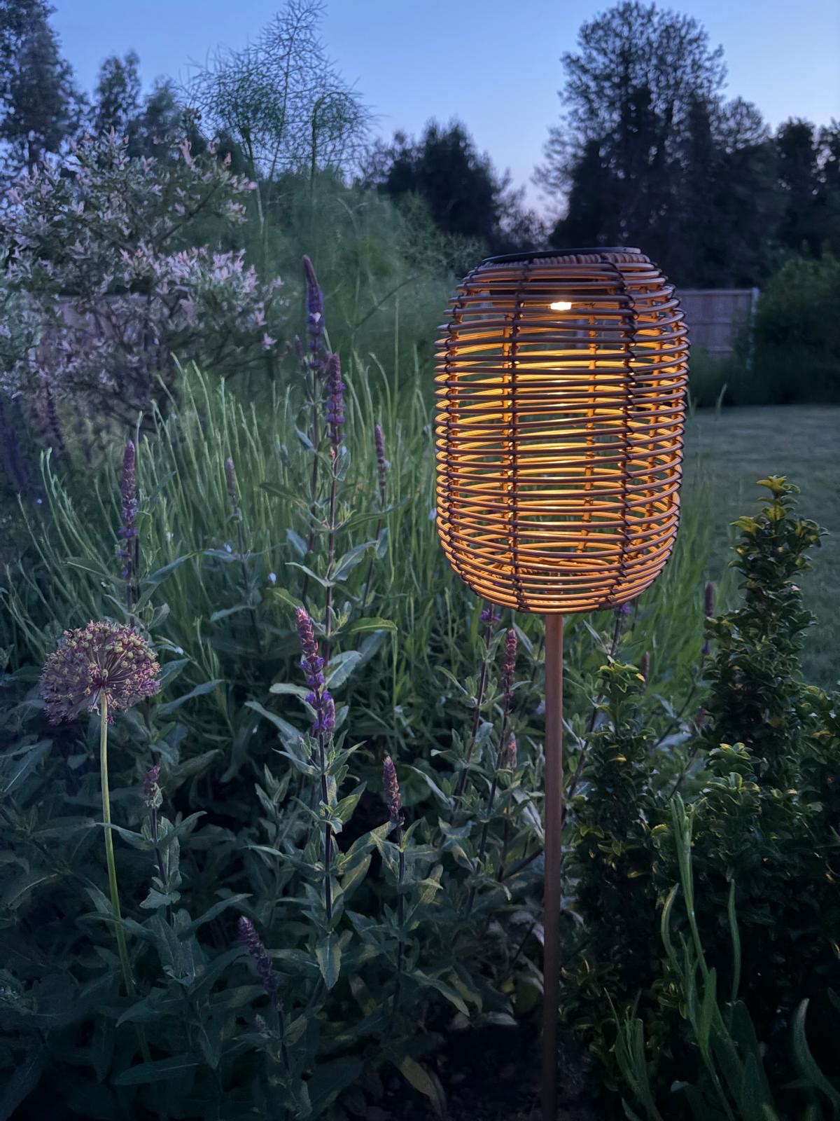 The Hedgerow Lantern