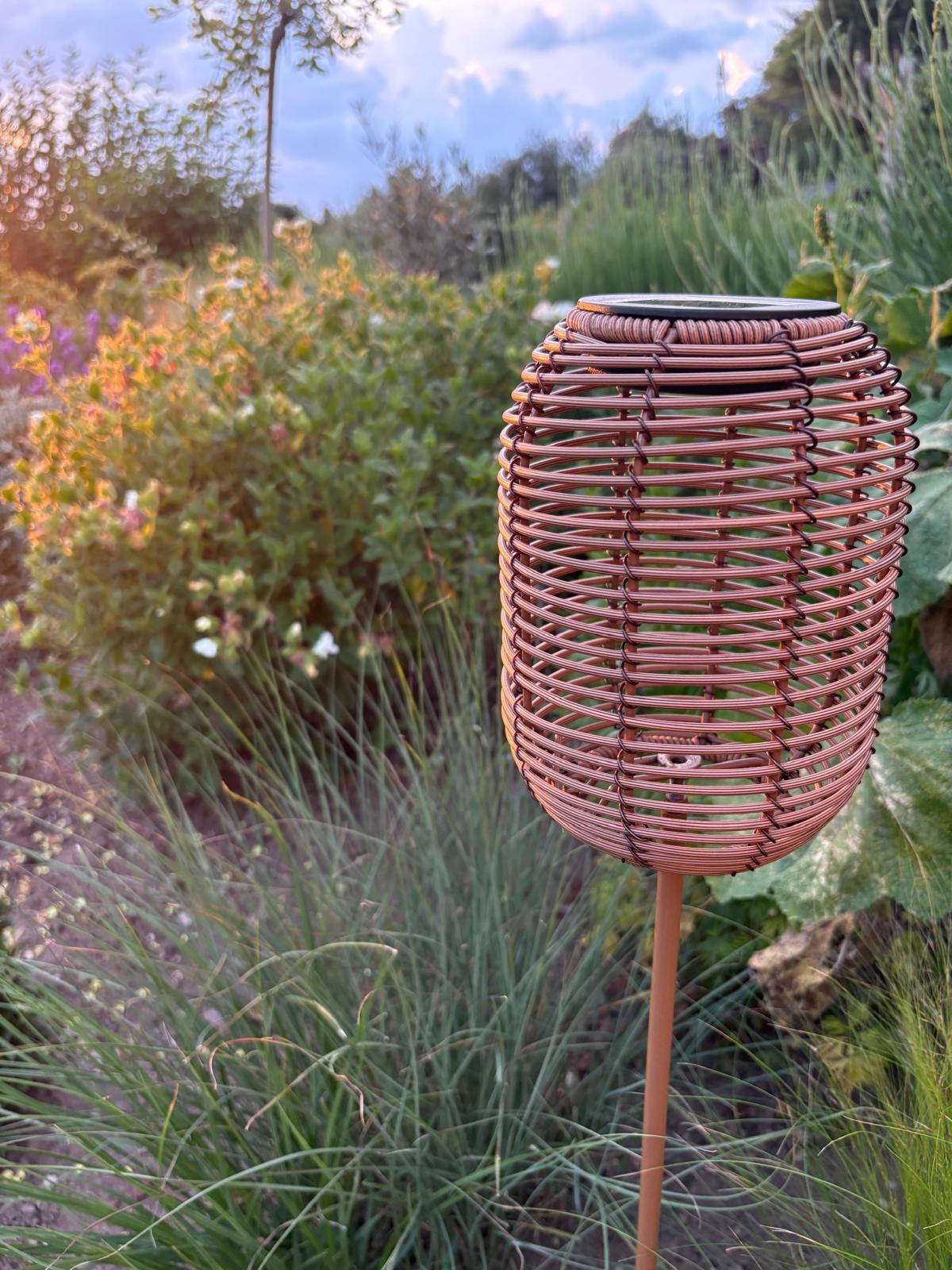 The Hedgerow Lantern