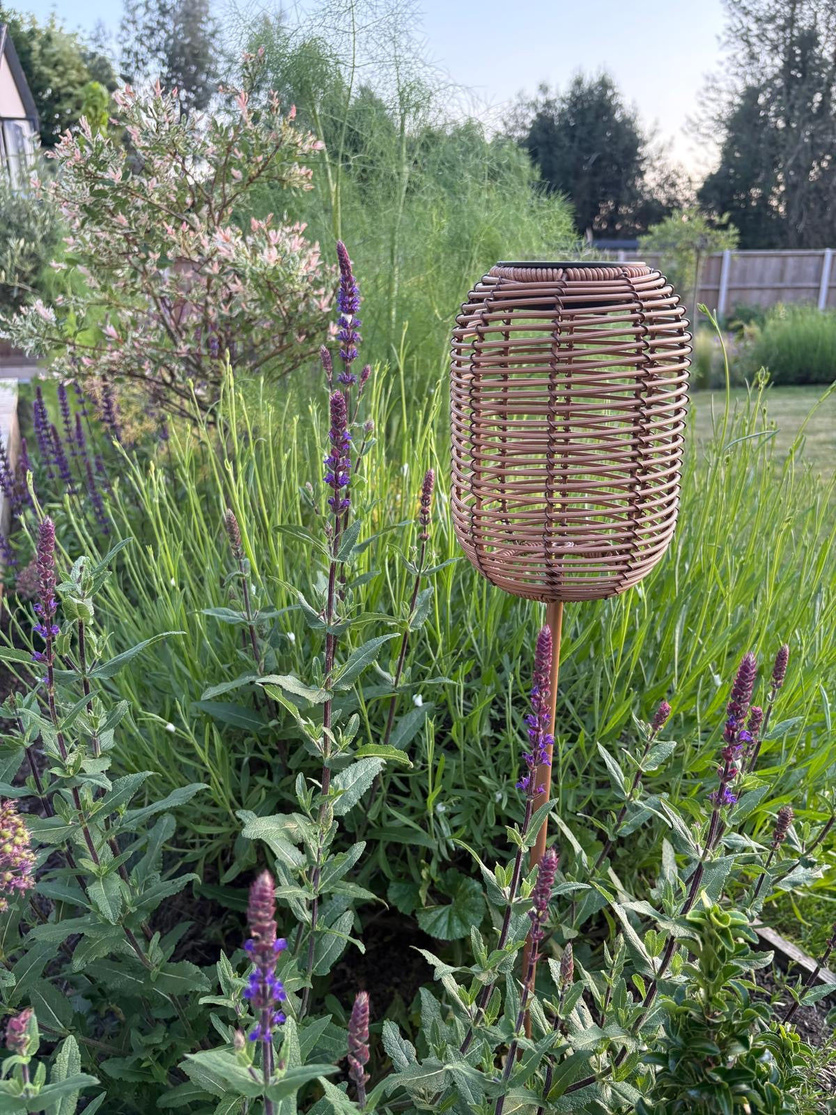 The Hedgerow Lantern