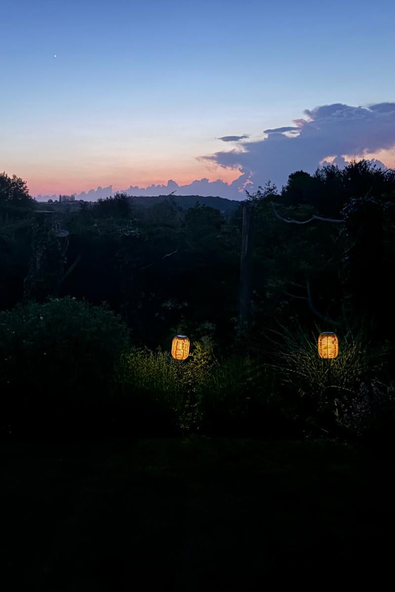 The Hedgerow Lantern